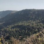 Flumserberg: Guided highlights hikes - The Practical Details