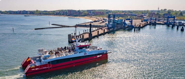 Föhr: Boat trip to the seals - Who Will Love This Tour?