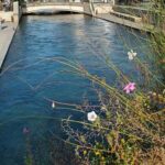 Fontaine De Vaucluse and Isle Sur La Sorgue by electric bike - What to Expect from the Tour
