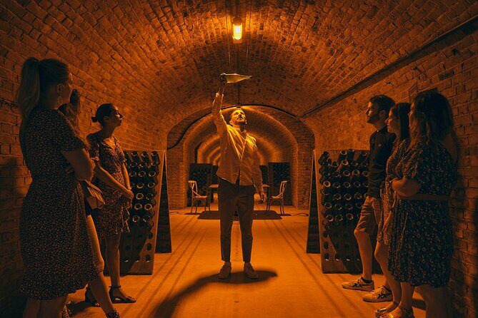Food and Champagne Experience from Reims (Private full day tour) - Who Should Consider This Tour?