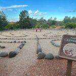 Forest Bathing by The Creek - Price and Value: Is It Worth It?