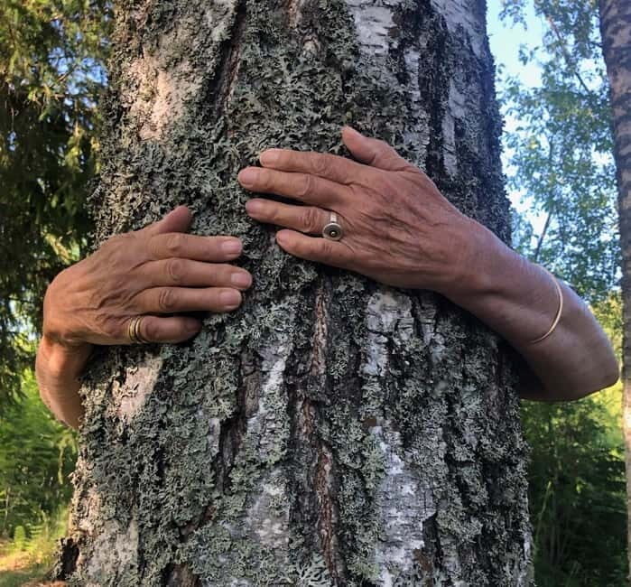 Forest Bathing in Stockholm nature with certified guide - The Itinerary in Detail