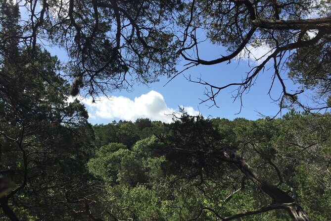 Forest Mindfulness and Embodiment Experience - Who Will Love This Experience?