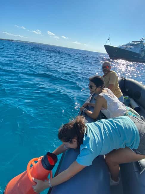 Formentera: 2-hour snorkel with marine biologist by boat - What’s Included and What’s Not  