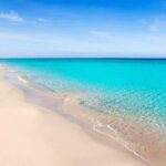 Formentera: discover our fast ferry + electric bike package. - How the Experience Works