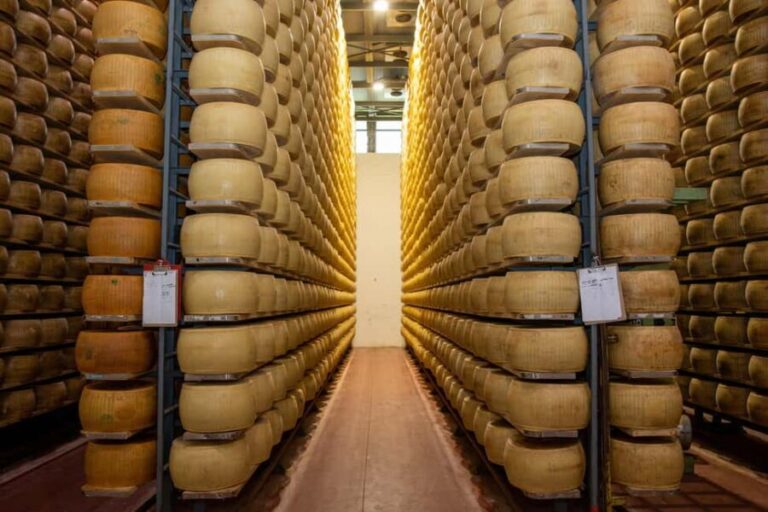 Formigine: Parmigiano tour with full tasting - Why This Tour Is a Must-Do for Food Lovers