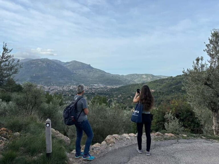 Fornalutx - hiking to the olive farm & oil tasting - The Hike to the Olive Farm: A Mountain Adventure