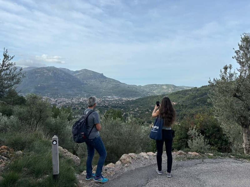 Fornalutx - hiking to the olive farm & oil tasting - The Hike to the Olive Farm: A Mountain Adventure