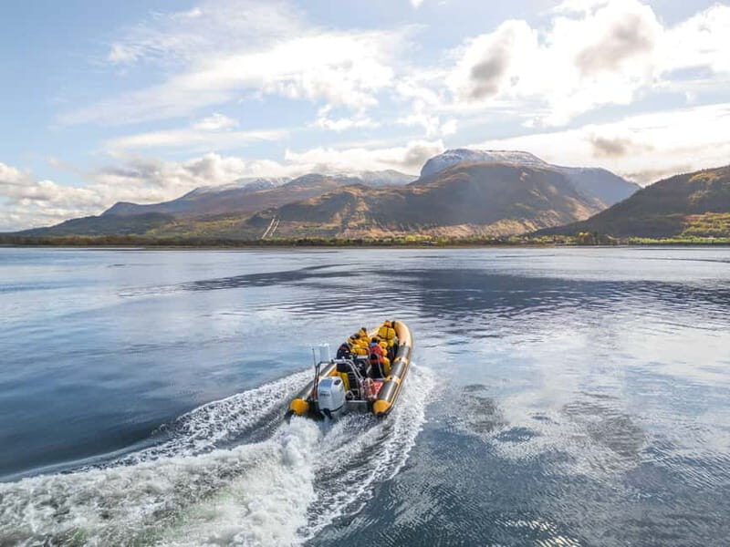 Fort William: 1hr Loch Safari Speedboat Tour - An Authentic Scottish Highland Experience from the Water
