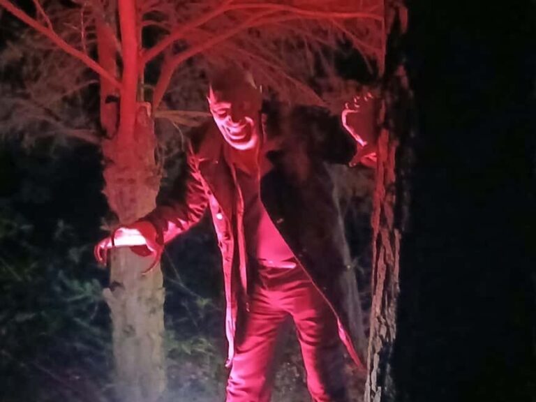 Frankfurt: Horror theater with city tour "Nosferatu's Resurrection" - Final Thoughts: Who Will Love This Experience?