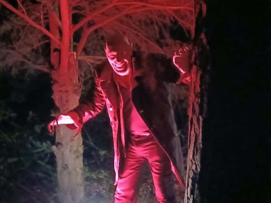 Frankfurt: Horror theater with city tour "Nosferatu's Resurrection" - Final Thoughts: Who Will Love This Experience?