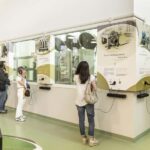 Frantoio di San Gimignano: tour of the oil mill and tasting - A Detailed Breakdown of the Tour