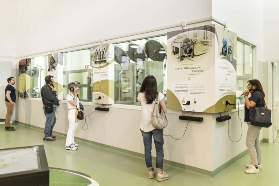 Frantoio di San Gimignano: tour of the oil mill and tasting - A Detailed Breakdown of the Tour