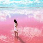 Free Yourself at Las Coloradas Natural Pink Lake! Tour from Playa Del Carmen - Analyzing the Value