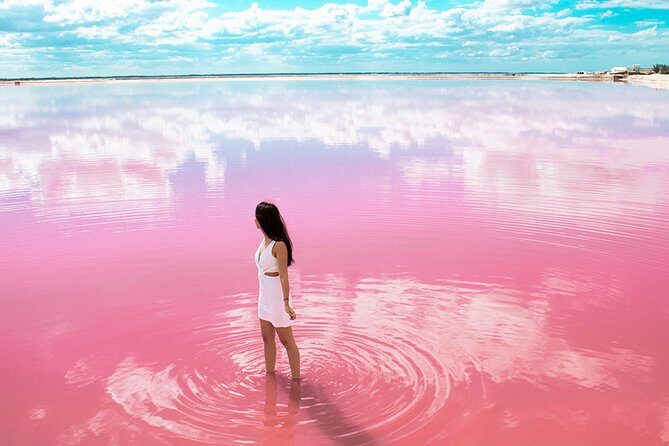 Free Yourself at Las Coloradas Natural Pink Lake! Tour from Playa Del Carmen - Analyzing the Value