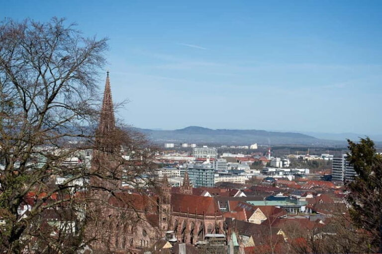 Freiburg City Tour: with visit of the Freiburg Minster - Final Thoughts: Is This Tour Worth It?