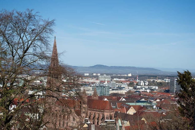Freiburg City Tour: with visit of the Freiburg Minster - Final Thoughts: Is This Tour Worth It?