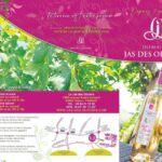 Fréjus: Cave tour and wine tasting - The Experience Breakdown