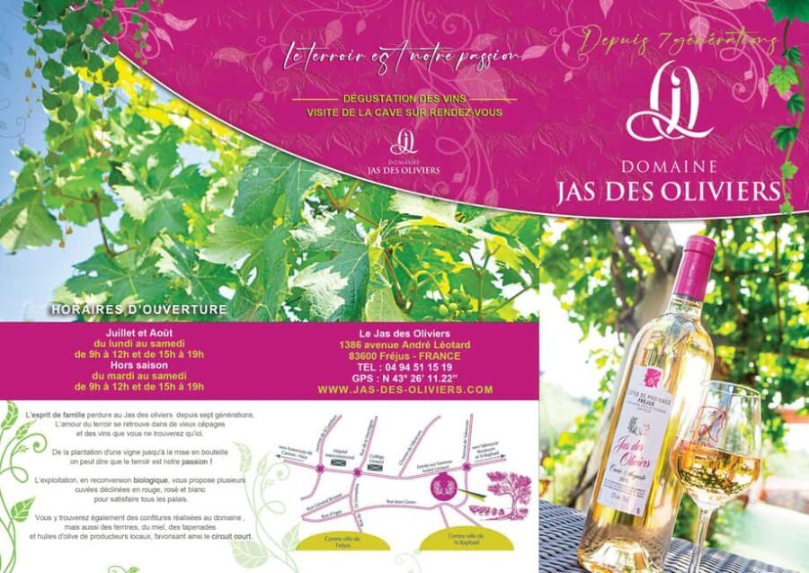 Fréjus: Cave tour and wine tasting - The Experience Breakdown