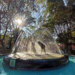 Frida Kahlo Museum Entry Ticket - Who Should Love This Tour?