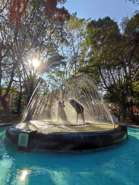 Frida Kahlo Museum Entry Ticket - Who Should Love This Tour?