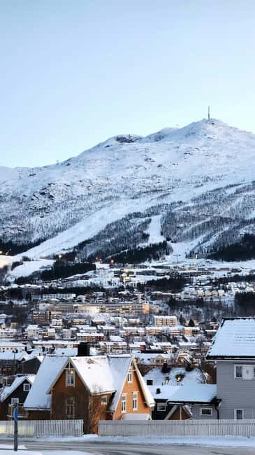 From Abisko: Narvik City and Fjord Day Trip - Exploring Narvik: The Charm and History