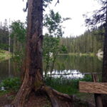 From abljak: Durmitor National Park Private Hiking Tour - The Itinerary in Detail