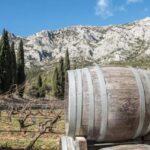 From Aix-en-Provence: 2-Hour Wine & Scenery Sidecar Tour - Practical Details