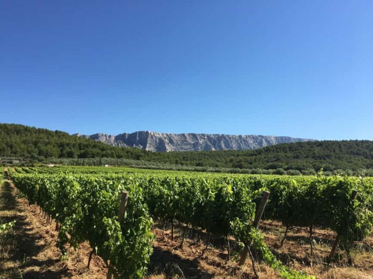 From Aix en Provence: Half-day Wine Tour in Provence - What Makes This Tour Stand Out