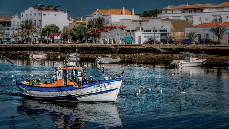 From Albufeira: Loule, Faro, and Tavira Guided Day Trip - The Charm of Loulé: Market and Medieval Streets