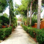 From Alicante and Elche: Tea house + sweets. Taste the flavor of the Orient. - Arrival at the Arab House and Garden