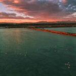 From Alicante/Benidorm: Tabarca Island & Santa Pola Salinas - Practical Details and Tips