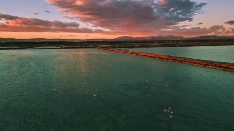 From Alicante/Benidorm: Tabarca Island & Santa Pola Salinas - Practical Details and Tips