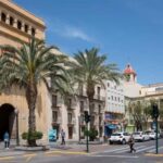 From Alicante: Elche Half-Day of Palms, History & Heritage - Who Should Consider This Tour?