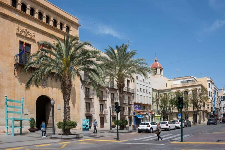 From Alicante: Elche Half-Day of Palms, History & Heritage - Who Should Consider This Tour?