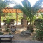 From Alicante: Family Winery for Three Generations - The Itinerary in Detail