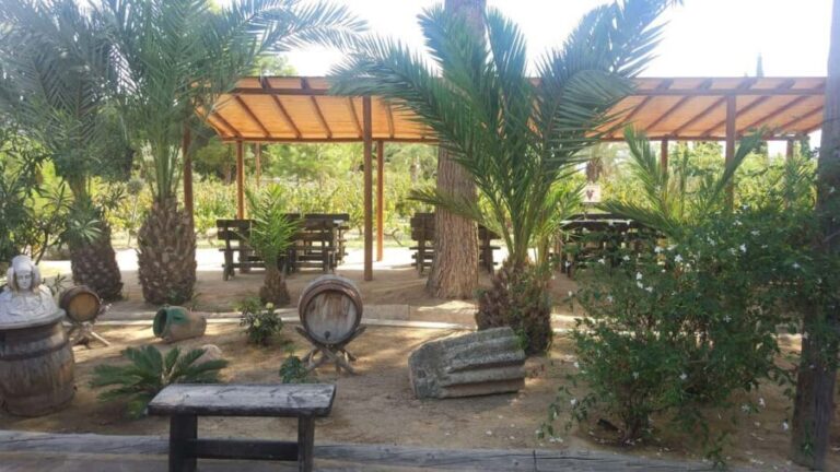 From Alicante: Family Winery for Three Generations - The Itinerary in Detail