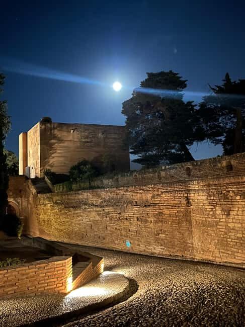 From Almuñécar: Granada Day Trip with Alhambra and Cathedral - What Past Travelers Say