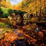 From Amasra: Safranbolu and Amasra Guided Tour with Pickup - Safranbolu: A Step Back in Time