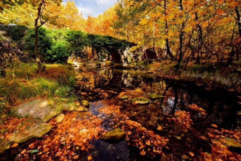 From Amasra: Safranbolu and Amasra Guided Tour with Pickup - Safranbolu: A Step Back in Time