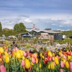 From Amsterdam: Day Trip Madurodam and Keukenhof Gardens - Why This Tour Offers Great Value