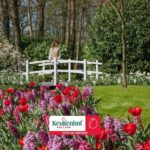 From Amsterdam: Keukenhof Shuttlebus and Entry Ticket - Overview of the Experience