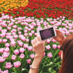 From Amsterdam: Keukenhof Tulips, Windmills & Volendam - Why This Tour Excels