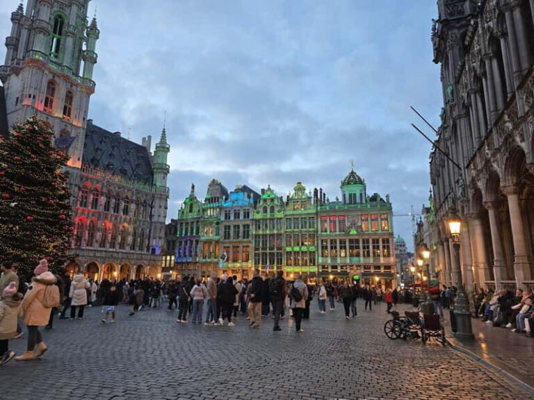 From Amsterdam: Private Christmas Brussels Stories & VR - Practical Tips for Your Christmas Brussels Tour