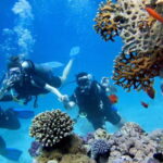 From Antalya: Scuba Diving With Lunch and Transfer - Logistics and Practicalities