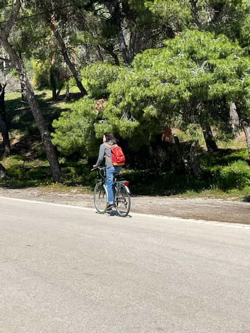 From Athens: Bike & Island Full-Day Tour to Poros - Who Should Consider This Tour?