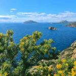 From Athens: Temple of Poseidon & Cape Sounion Half-Day Tour - What to Keep in Mind