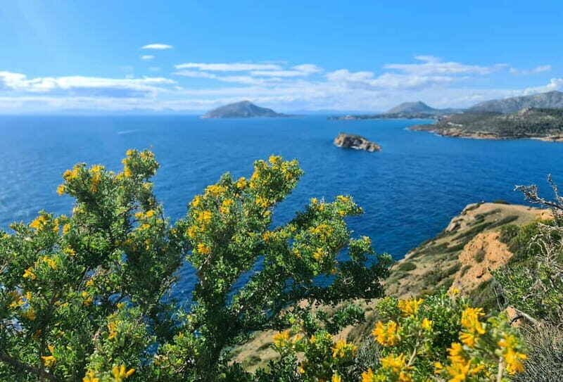 From Athens: Temple of Poseidon & Cape Sounion Half-Day Tour - What to Keep in Mind
