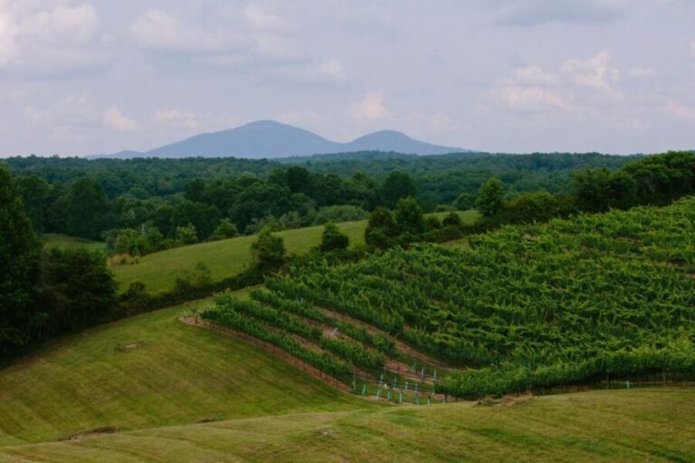 From Atlanta: Half-Day Wine Country Tour - Is It Worth the Price?