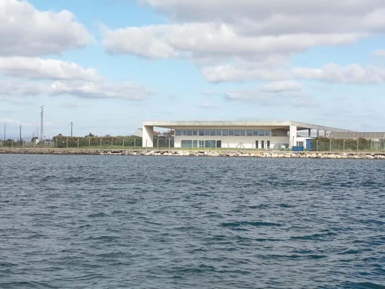 From Aveiro to the Beaches by Boat - Who Should Consider This Tour?